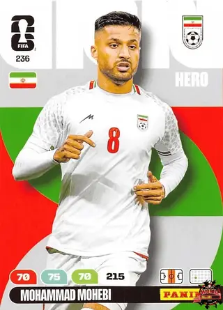 Mohammad Mohebi