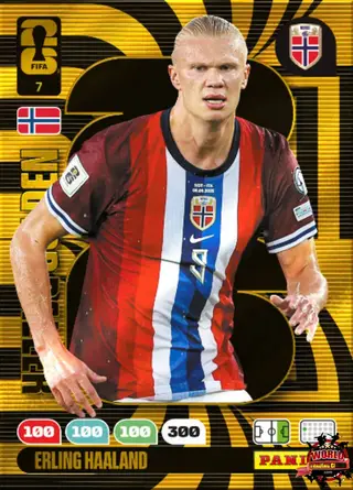 Erling Haaland